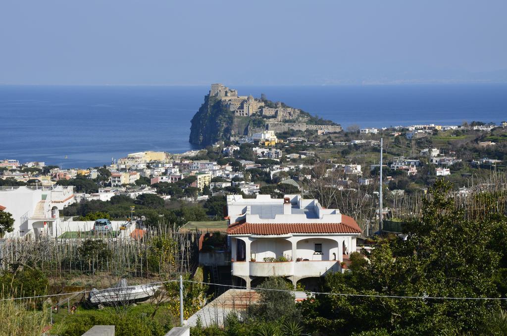 U Campagnuolo Hotel Ischia Exterior photo
